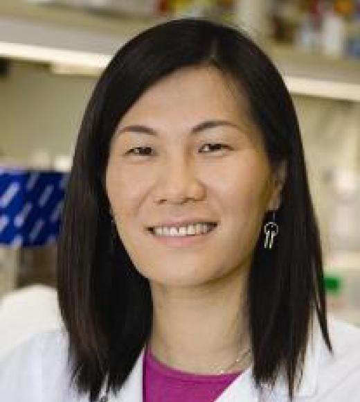 Dr. Li Tian