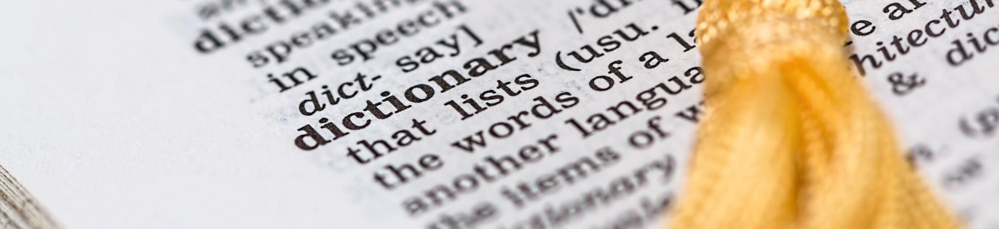 Dictionary view